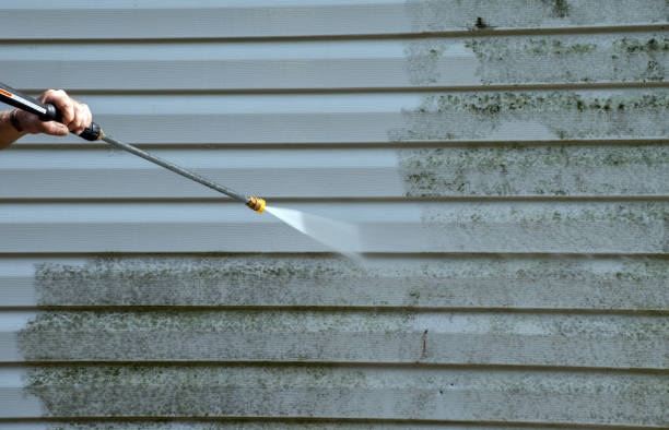 Best Pressure Washing Driveway  in Ogdensburg, NY