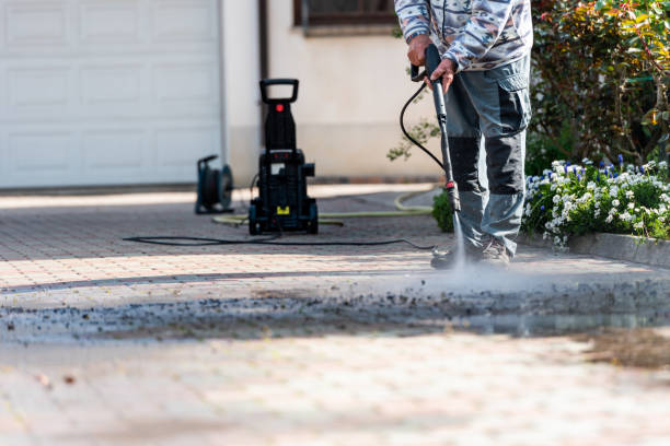 Best Exterior Home Cleaning  in Ogdensburg, NY
